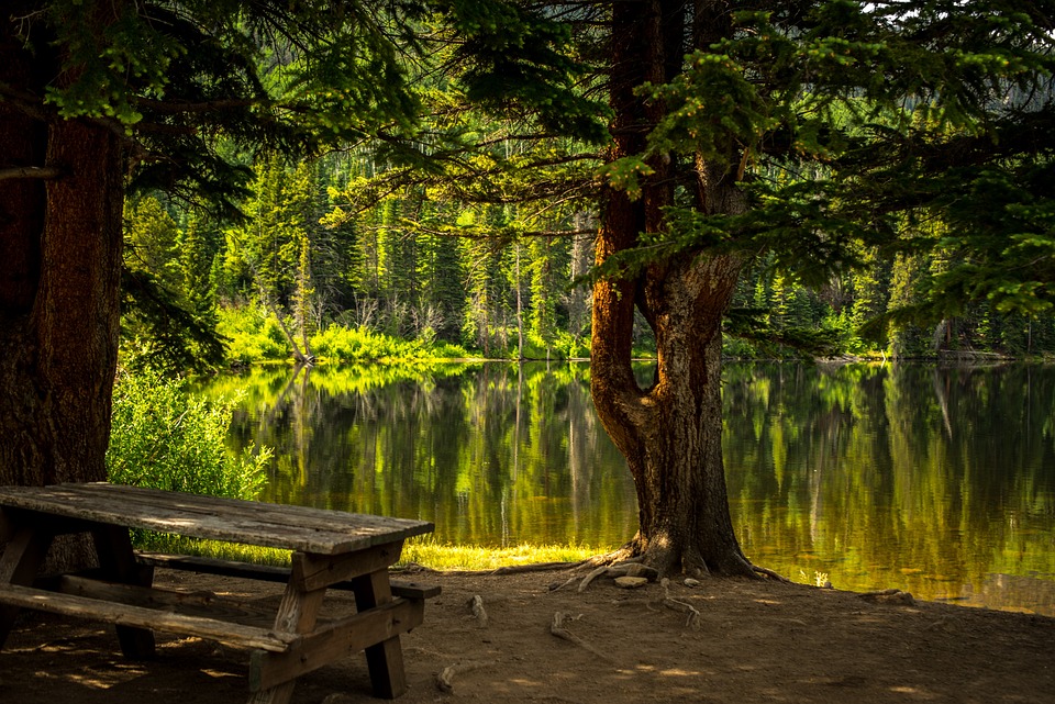 Recreation area of a park with a lake and a bench. | Tourist areas in Sherwood, AR.