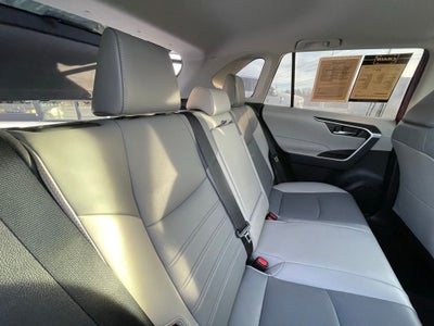 2021 Toyota RAV4 XLE Premium - PRE-COLLSION SYSTEM / AUTOMATIC HIGH BEAMS