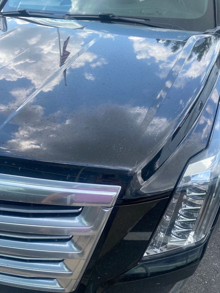2019 Cadillac Escalade Platinum Edition