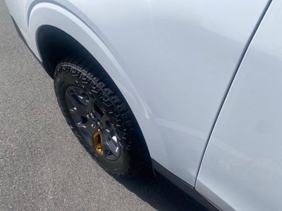 2026 Ford Maverick Tremor