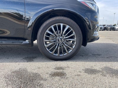 2023 INFINITI QX80 Sensory
