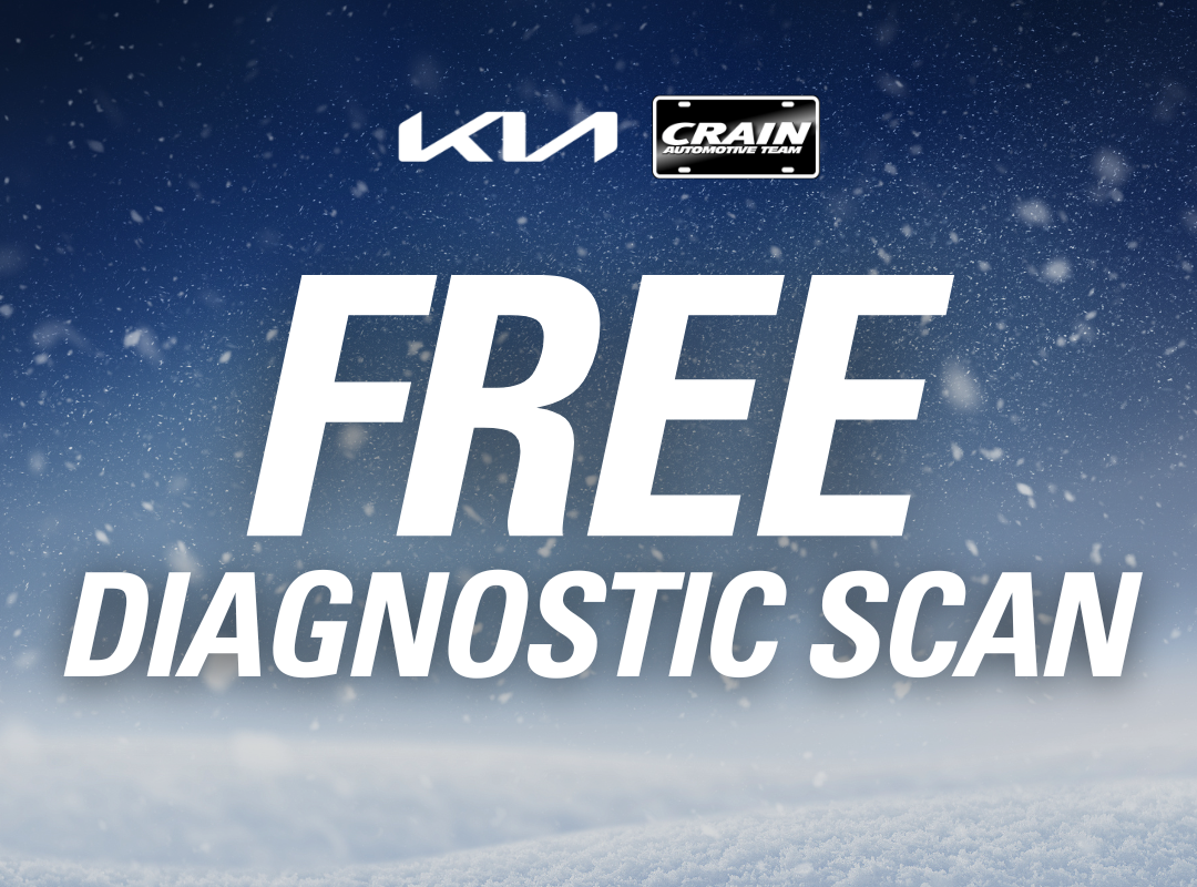 Free Diagnostic Scan